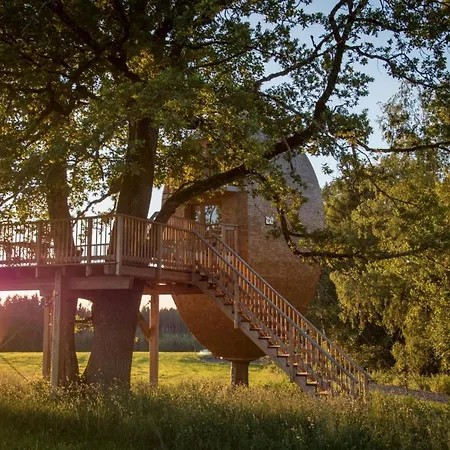 Ferienhof Und Baumhaushotel Allgau 샬레